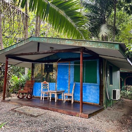 Chosa Manglar Suites & Cabins Puerto Jiménez Εξωτερικό φωτογραφία