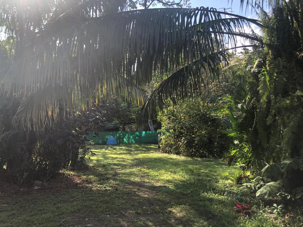 Chosa Manglar Suites & Cabins Puerto Jiménez Εξωτερικό φωτογραφία
