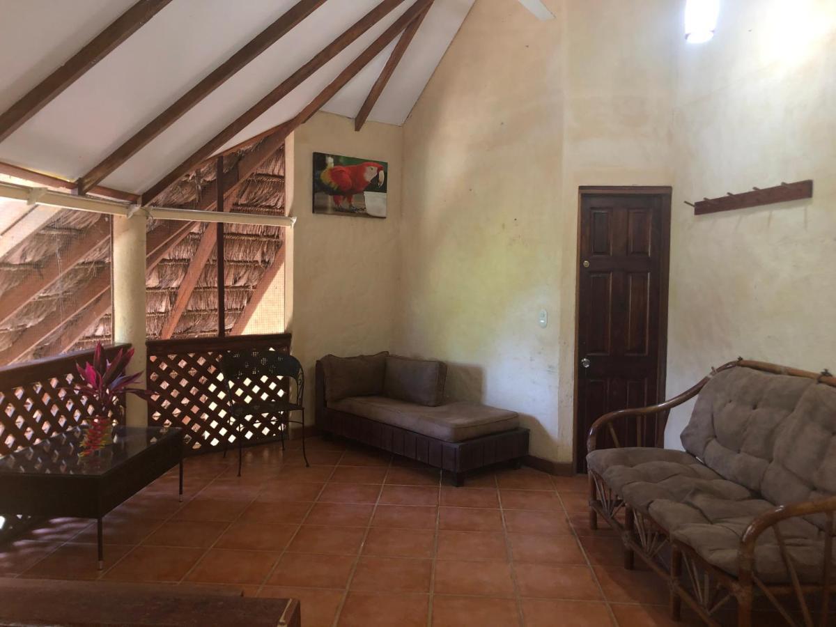 Chosa Manglar Suites & Cabins Puerto Jiménez Εξωτερικό φωτογραφία