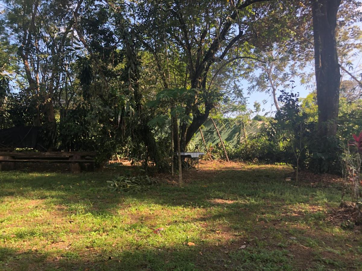 Chosa Manglar Suites & Cabins Puerto Jiménez Εξωτερικό φωτογραφία