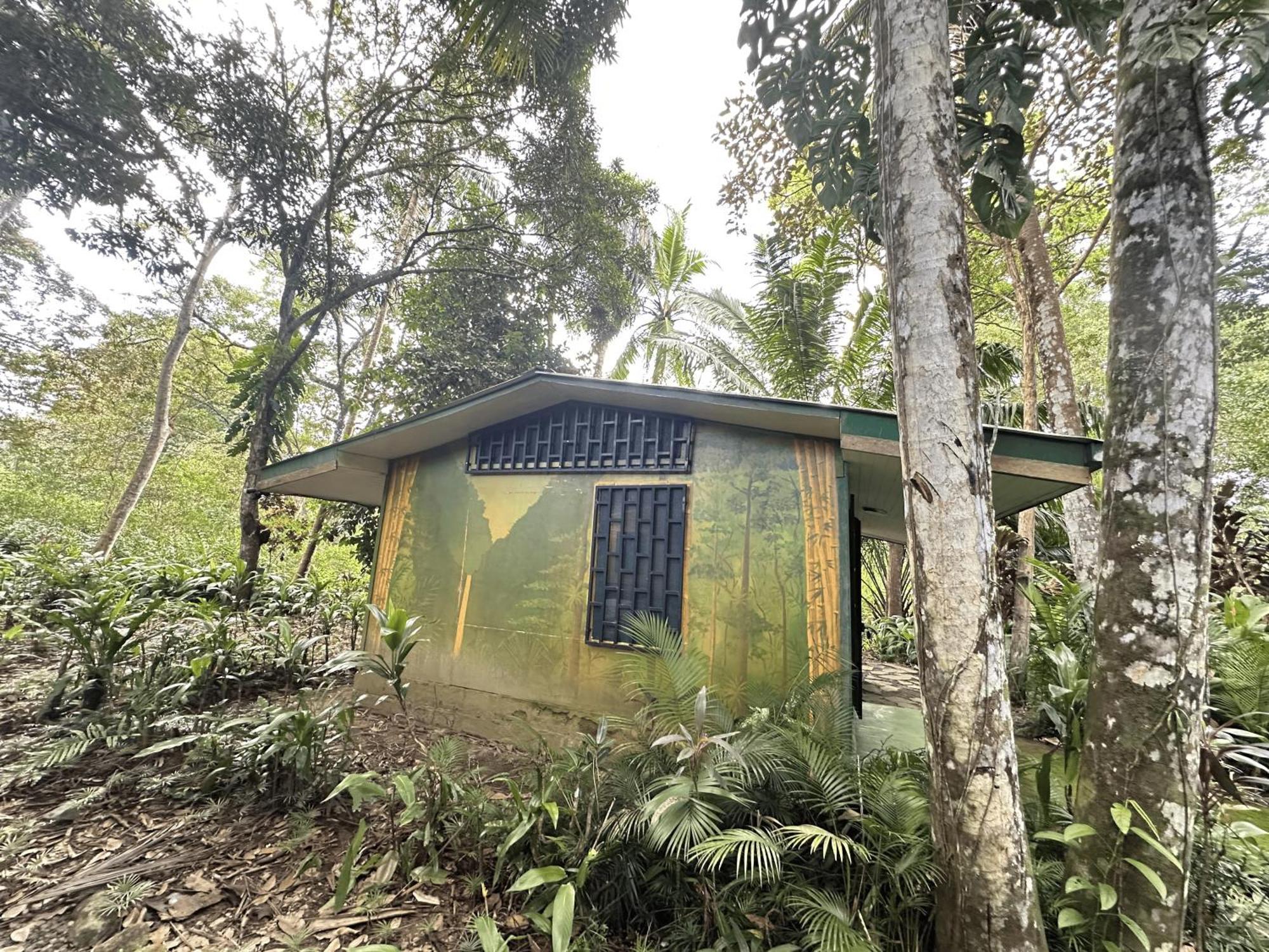 Chosa Manglar Suites & Cabins Puerto Jiménez Εξωτερικό φωτογραφία